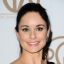 Sarah Wayne Callies icon 64x64