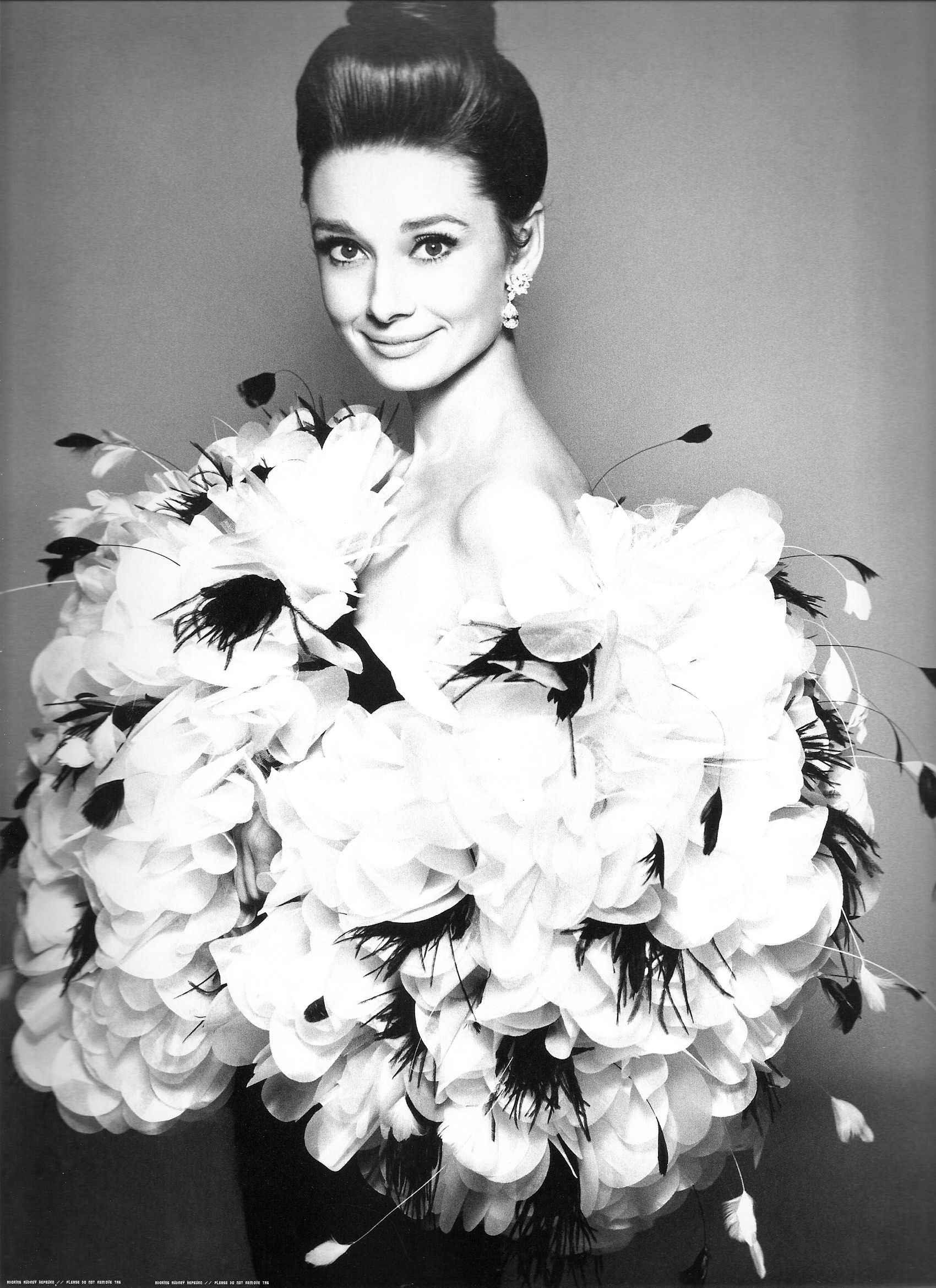 Audrey Hepburn