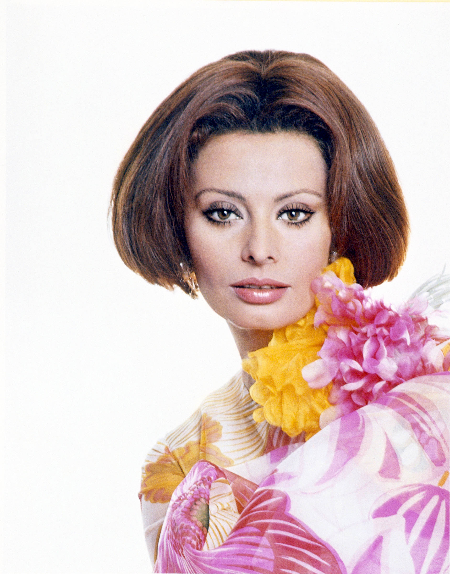 Sophia Loren photo 611 of 752 pics, wallpaper photo 463036 ThePlace2