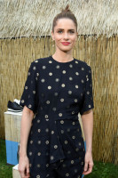 Amanda Peet photo #