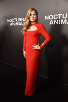 photo 5 in Amy Adams gallery [id893316] 2016-11-19