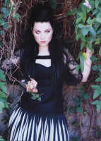photo 23 in Amy Lee gallery [id799802] 2015-09-27
