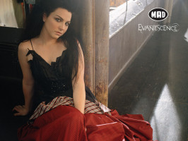 photo 6 in Amy Lee gallery [id158122] 2009-05-25