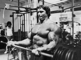 Arnold Schwarzenegger photo #