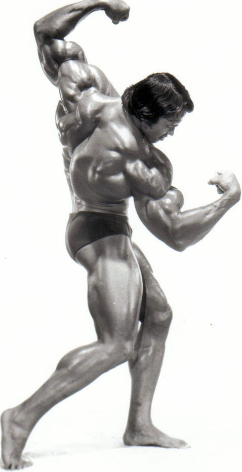 Arnold Schwarzenegger: pic #275818