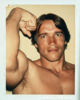 photo 8 in Schwarzenegger gallery [id359905] 2011-03-23
