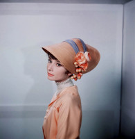 photo 16 in Audrey Hepburn gallery [id460026] 2012-03-14
