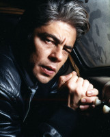 photo 15 in Benicio gallery [id91025] 2008-05-21