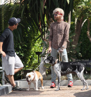 Bill Kaulitz photo #