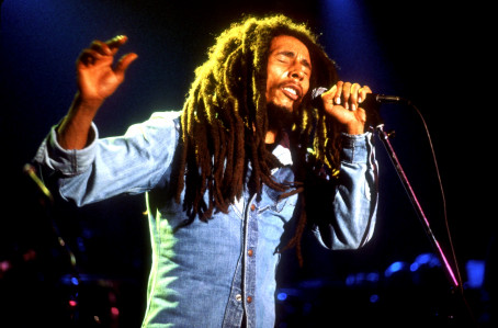 photo 5 in Bob Marley gallery [id516089] 2012-07-26