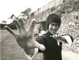 photo 6 in Bruce Lee gallery [id376642] 2011-05-11