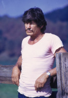 photo 10 in Charles Bronson gallery [id272513] 2010-07-23
