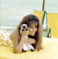 photo 28 in Claudia Cardinale gallery [id136136] 2009-03-02