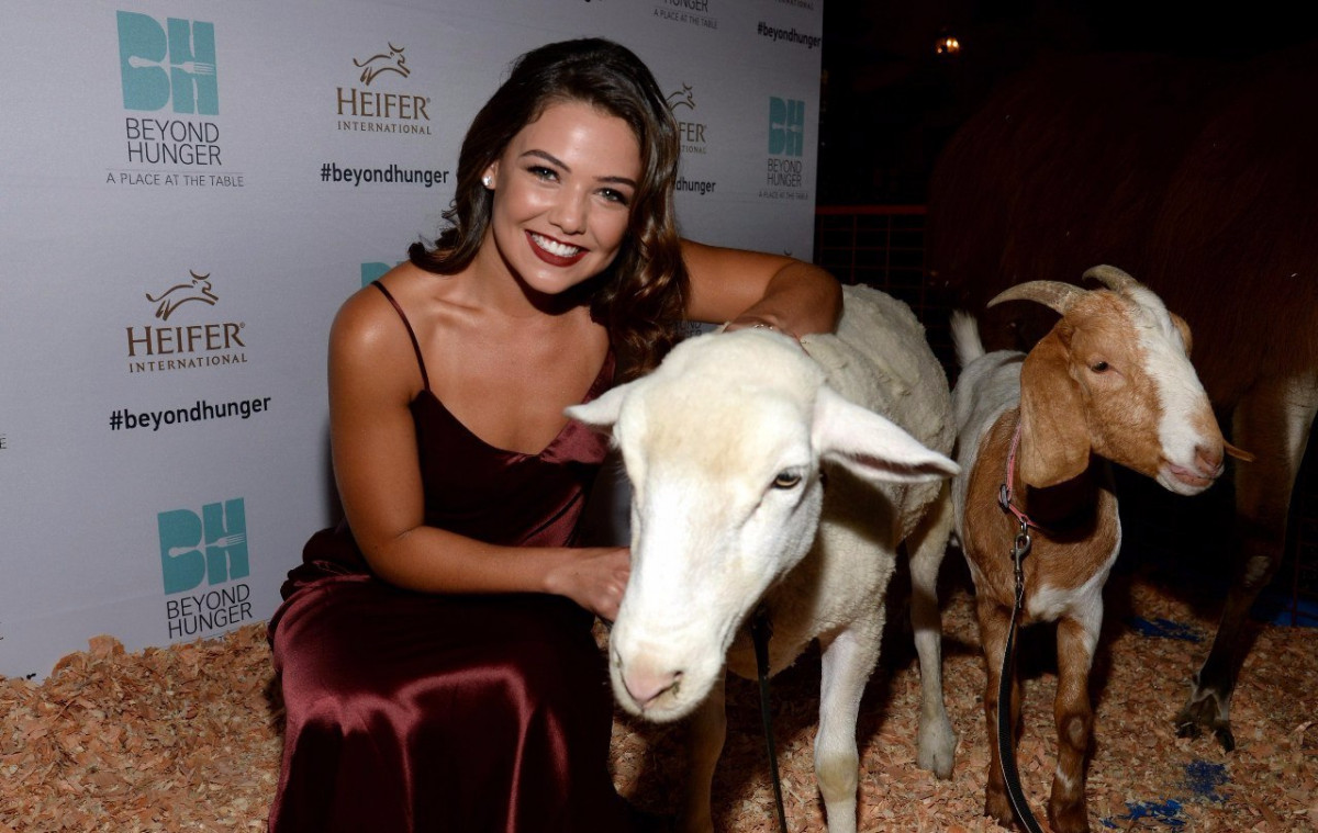 Danielle Campbell: pic #798786