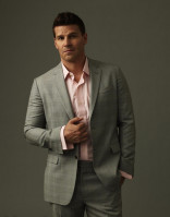 David Boreanaz photo #