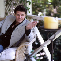 David Boreanaz photo #