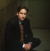 photo 16 in Duchovny gallery [id362256] 2011-03-29