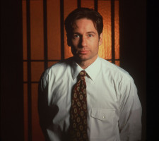 photo 21 in David Duchovny gallery [id362244] 2011-03-29