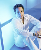 photo 21 in Duchovny gallery [id178812] 2009-09-04