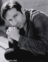 photo 15 in David Duchovny gallery [id60770] 0000-00-00