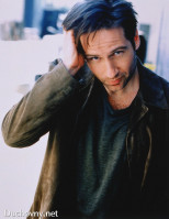 photo 14 in Duchovny gallery [id60771] 0000-00-00