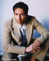 photo 13 in David Duchovny gallery [id60772] 0000-00-00