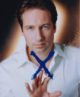 David Duchovny photo #