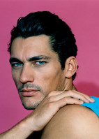 David Gandy photo #