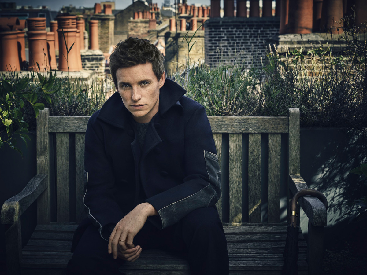 Eddie Redmayne: pic #900426