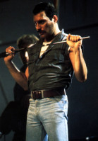 Freddie Mercury pic #676337