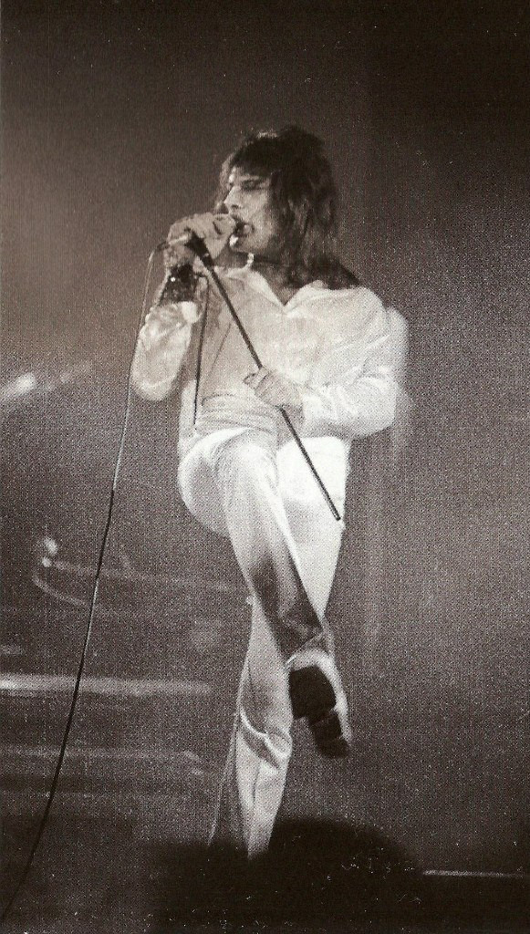 Freddie Mercury: pic #694724