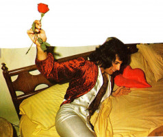 Freddie Mercury pic #649948