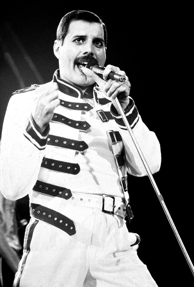 Freddie Mercury: pic #710540
