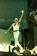 photo 23 in Freddie Mercury gallery [id710535] 2014-06-20