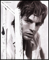 Gale Harold photo #