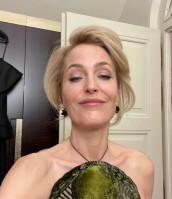 photo 14 in Gillian Anderson gallery [id1249495] 2021-03-06