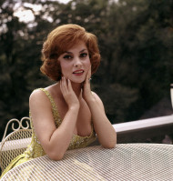 Gina Lollobrigida photo #