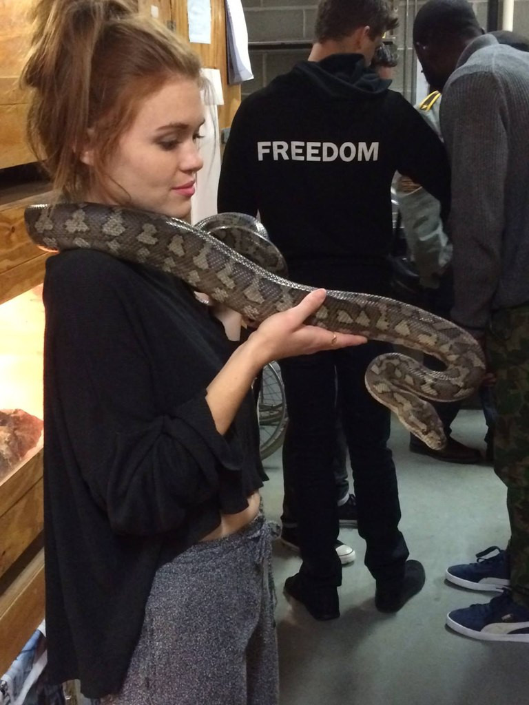 Holland Roden: pic #742306