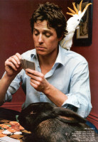 Hugh Grant photo #