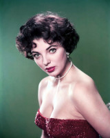 photo 21 in Joan Collins gallery [id186624] 2009-10-02