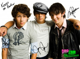 photo 13 in Jonas Brothers gallery [id164869] 2009-06-25