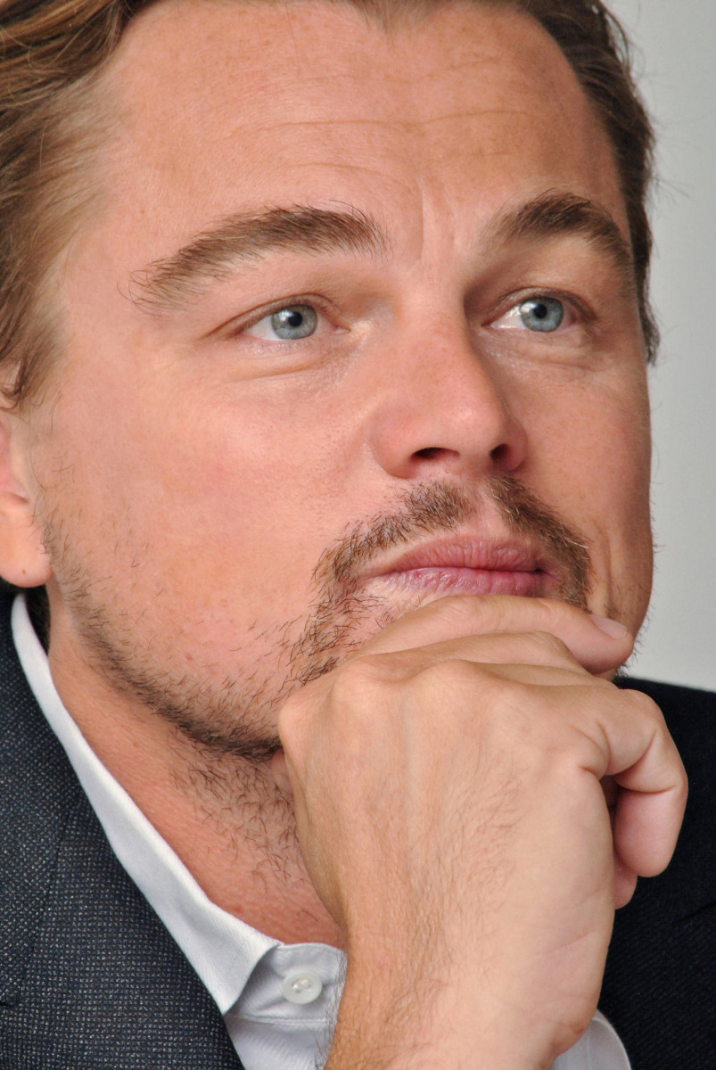 Leonardo DiCaprio: pic #828575