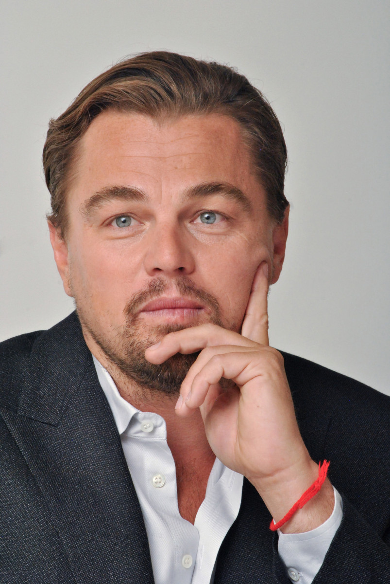 Leonardo DiCaprio: pic #829104