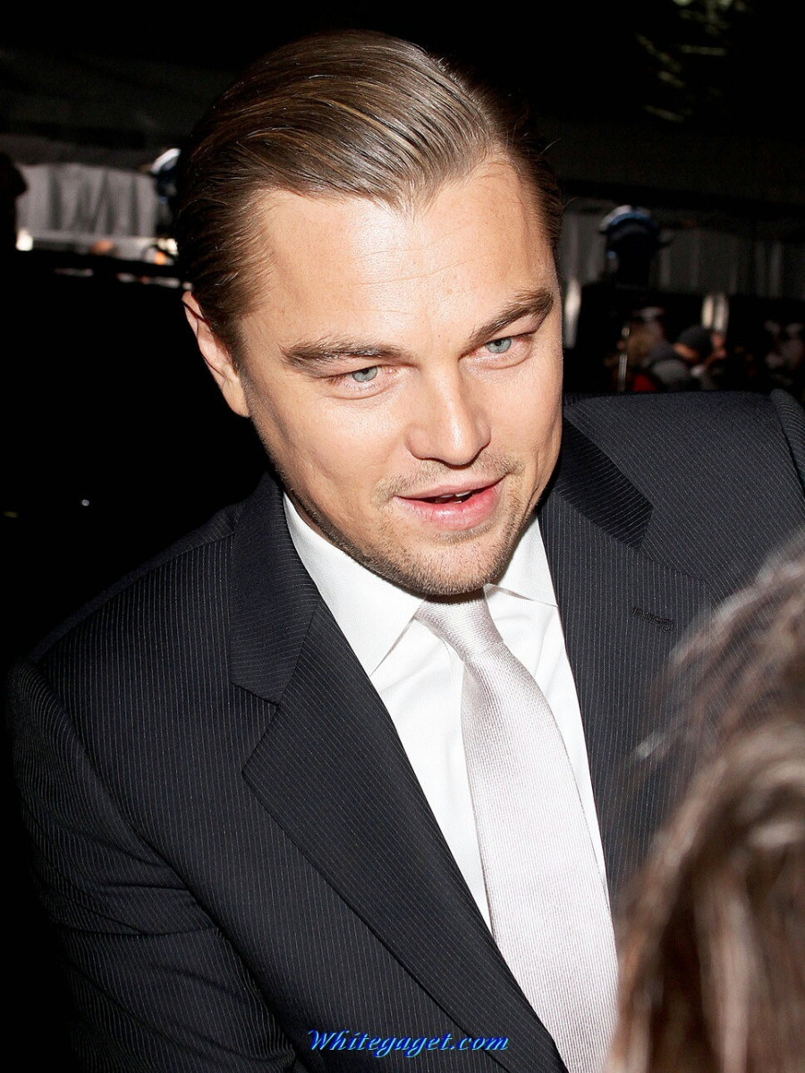 Leonardo DiCaprio: pic #833954