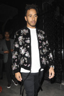 Lewis Hamilton pic #1034204