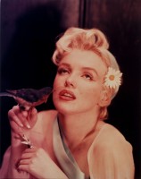 photo 6 in Marilyn Monroe gallery [id421814] 2011-11-21