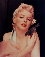 Marilyn Monroe pic #421818