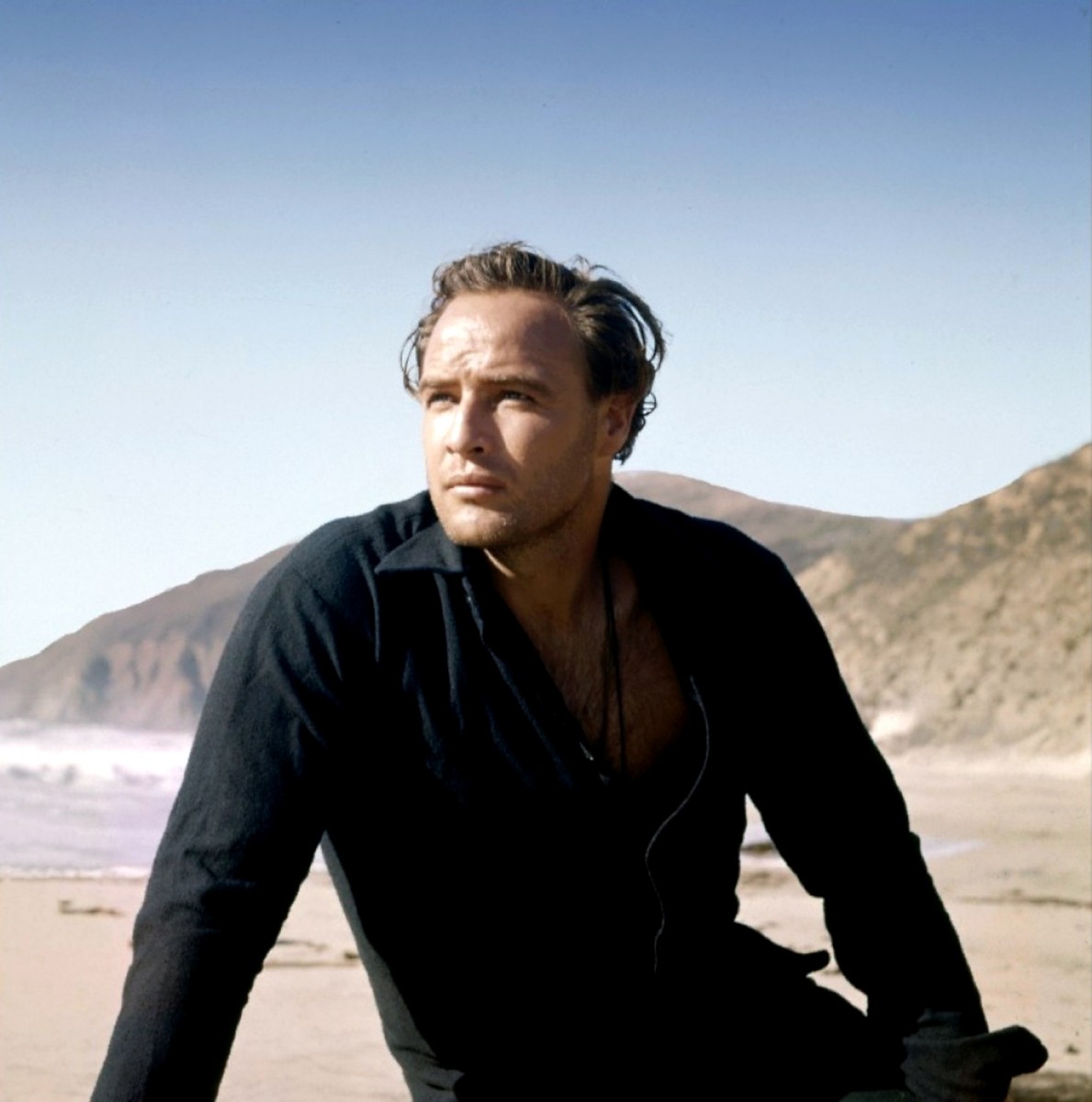 Marlon Brando: pic #182629