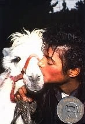 Michael Jackson: pic #11072