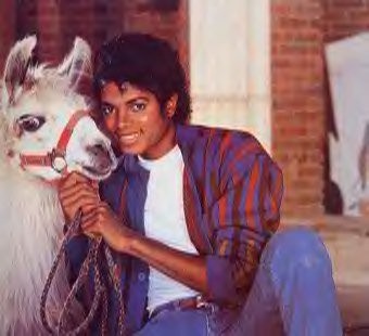 Michael Jackson: pic #11073